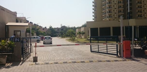 Ardee Palm Grove Heights - other