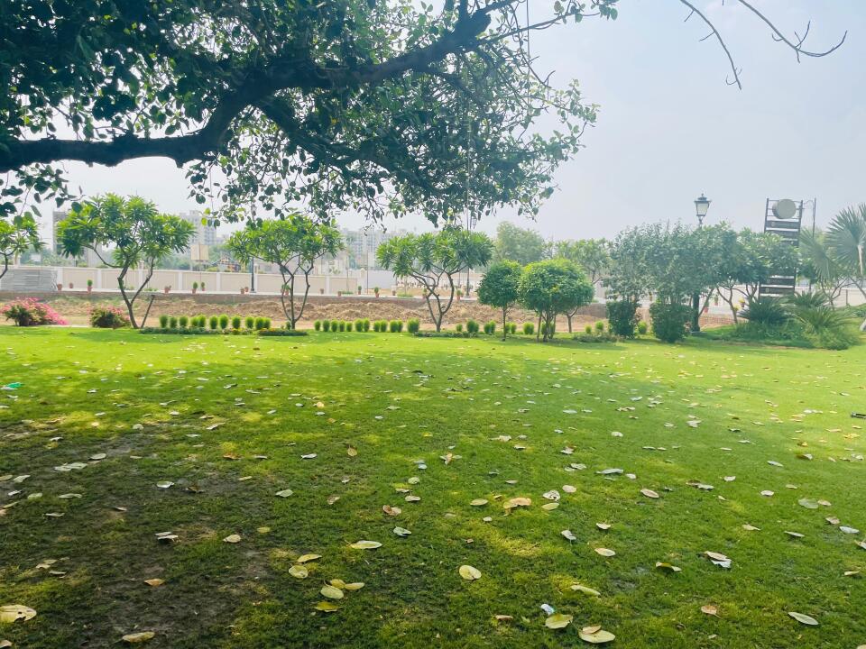 Golden Park - other