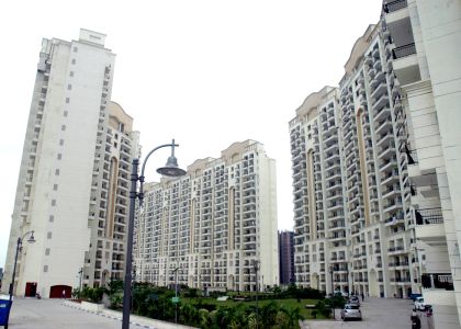 JMD Gardens - other