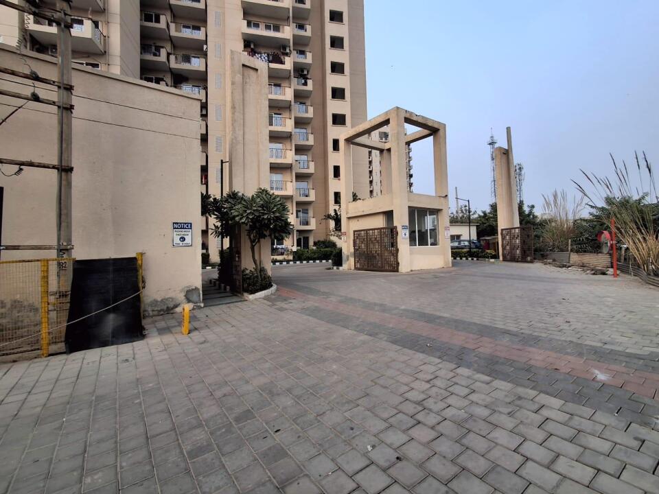 Orchard Avenue 2 - other