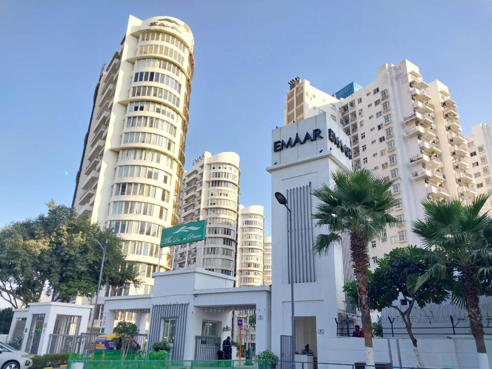 Palm Drive - other