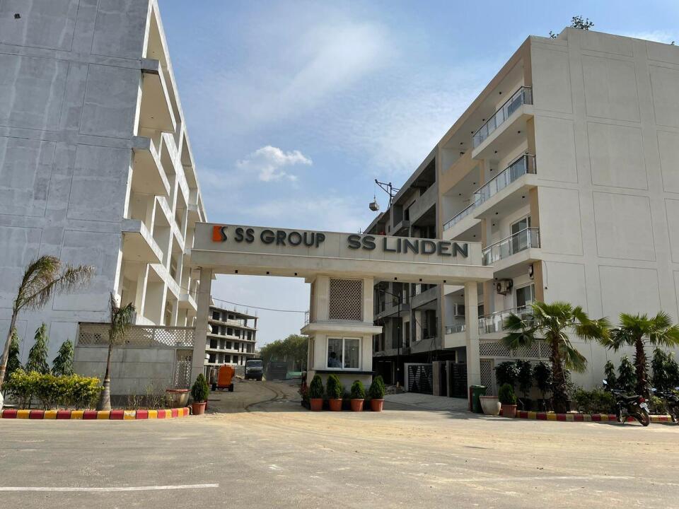 SS Linden Floors -iii - other