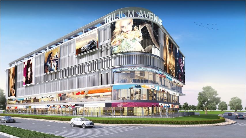 Tata Trilium Avenue  Sector 29, Gurgaon - other
