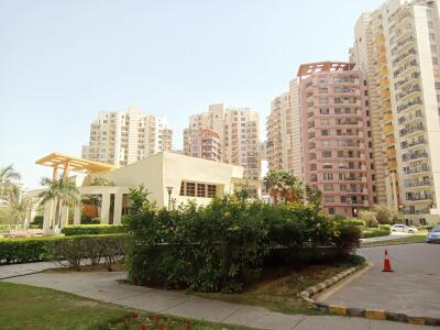 The Close South - other
