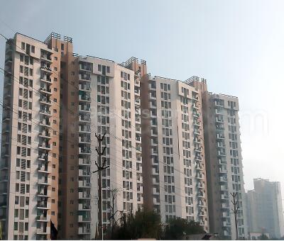 Unitech Harmony - other